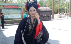 花蝴蝶免费高清WWW